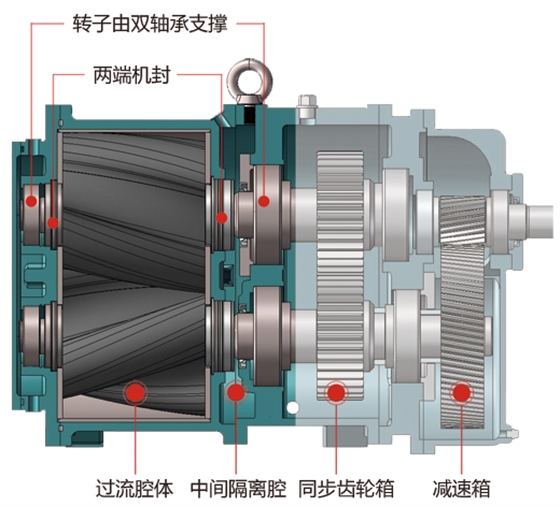 無阻塞轉(zhuǎn)子泵